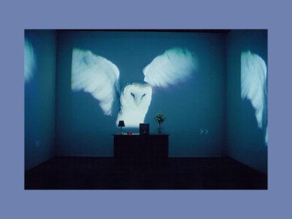 Bill Viola - Afbeelding 7