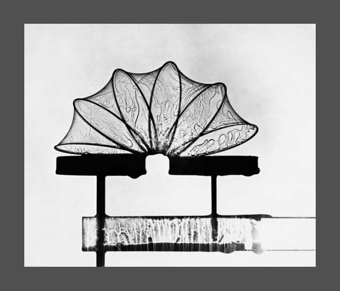 Form Follows Nature - Afbeelding 4