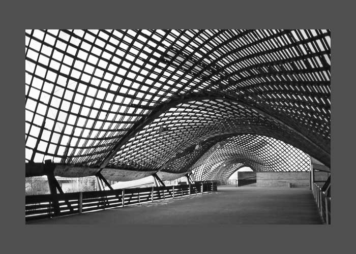Form Follows Nature - Afbeelding 3