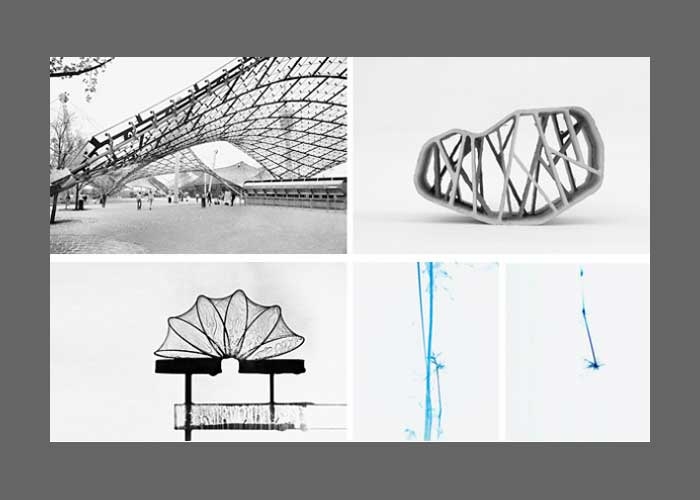 Form Follows Nature - Afbeelding 2